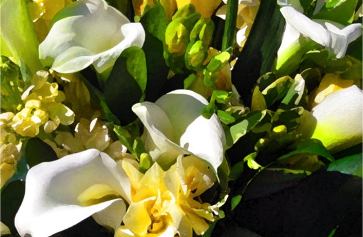 Lilies